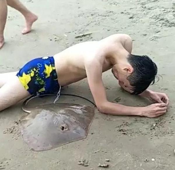 Çin'de sahilde yüzen talihsiz bir adamın cinsel organına vatoz yapıştı.