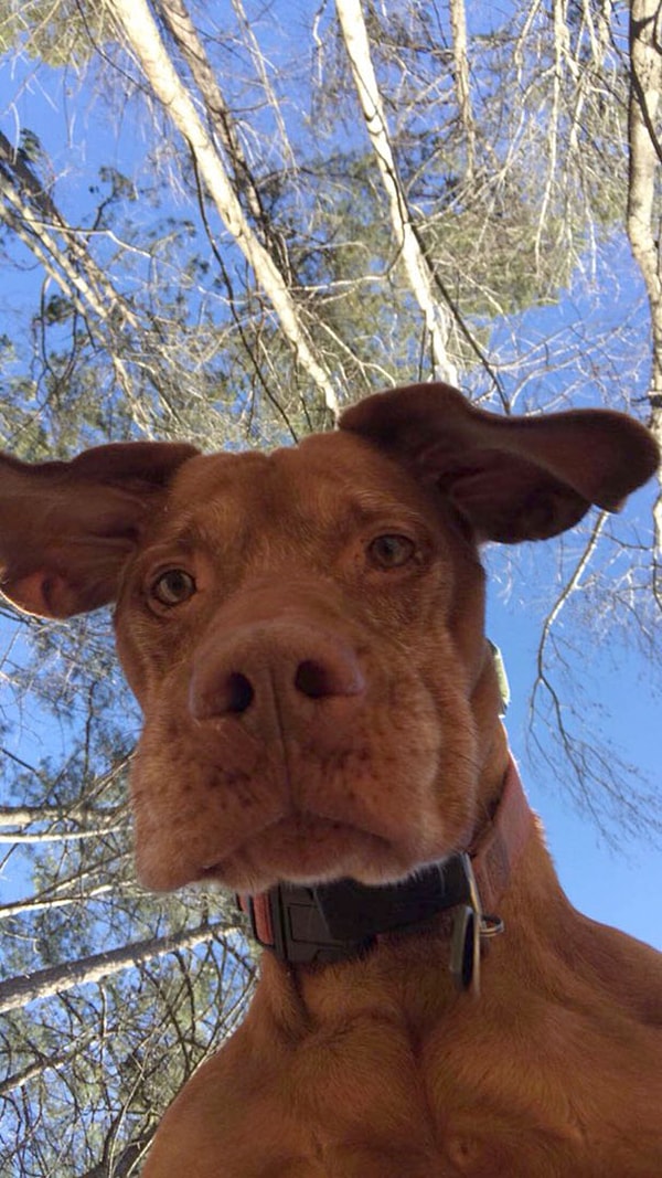 1. "Ненадолго оставил телефон во дворе, и на нем появилось вот это фото"