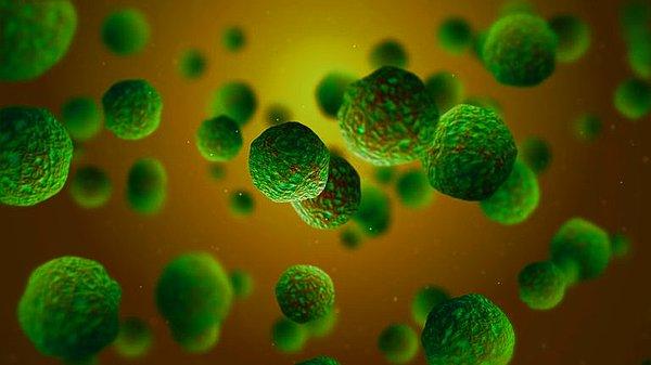 8. Antibakteriyel özellikler