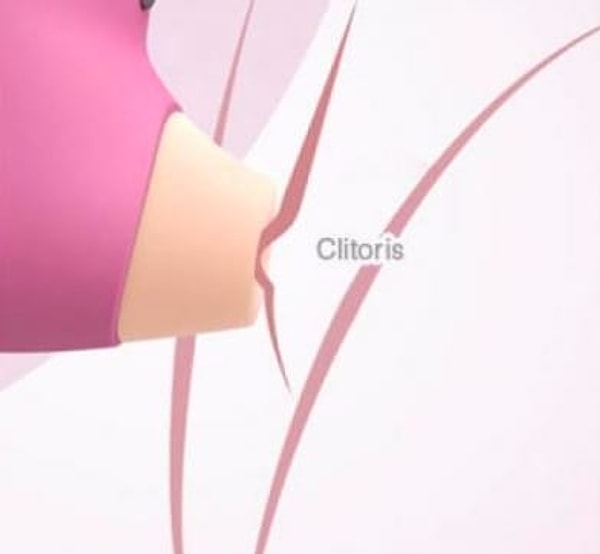 Показать правильный ответ