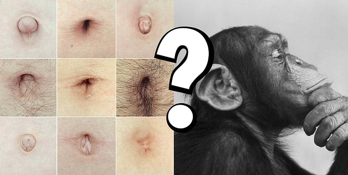 Тест: По форме пупка расскажем о вашем характере и продолжительности жизни