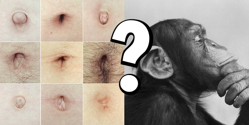 Тест: По форме пупка расскажем о вашем характере и продолжительности жизни