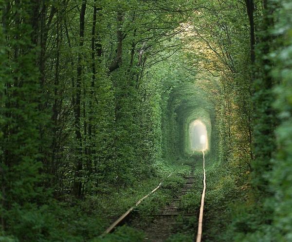 16. Ağaçlarla çevreçevelenmiş ve büyülü bir güzelliğe sahip olan Aşk Tüneli de Ukrayna'da!