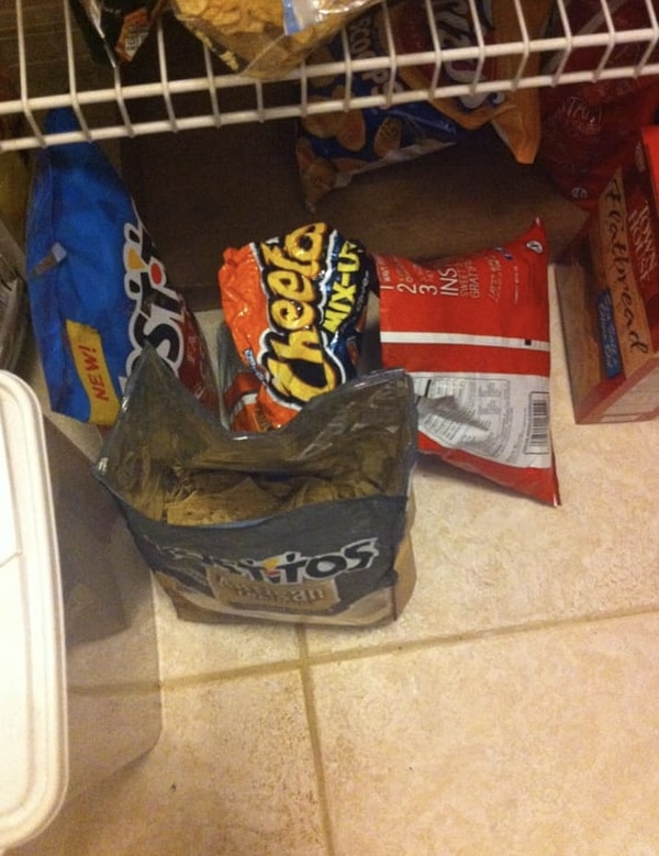 6. А что бы вы сделали, если бы ваш парень оставил любимые чипсы открытыми?!