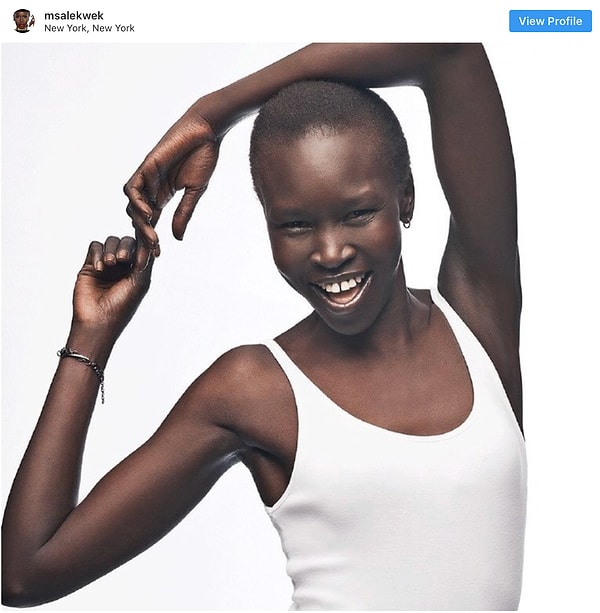 10. Небольшая щель между зубами Алек Вик (Alek Wek) придает задорности ее экзотическому образу.