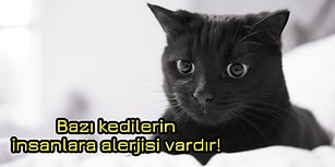 Buz Gibi Su Ferahlığında Ufkunuzu Açacak 26 Sıra Dışı Bilgi