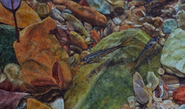 5. К чему относилось выражение "aqua vitae"?