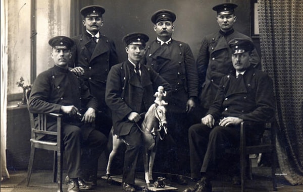 4. Казалось бы, все такие серьезные, но лошадка...