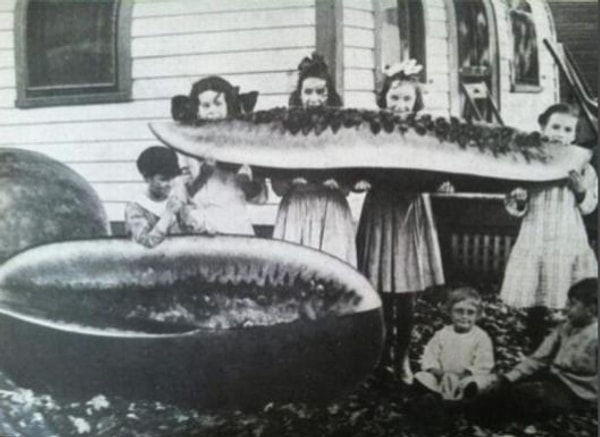 10. Нынче не сыщешь такой арбуз