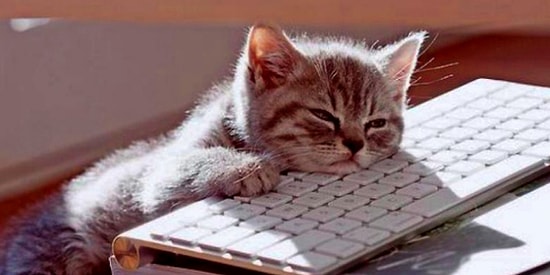 Bu 7 Soruda Can Sıkıntını Geçirecek 3 Şeyi Söylüyoruz!