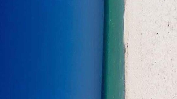 2. Пост набрал 30 тыс. лайков, под ним оставили более 19 тыс. комментариев, а сами пользователи Сети сломали себе головы, пытаясь найти правильный ответ.