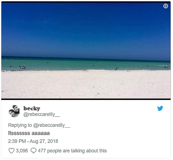 И барабанная дробь!.. Это...