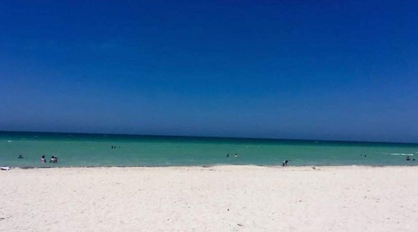 Да! Это пляж! А вам удалось ответить правильно? Пишите в комментариях ниже 👇