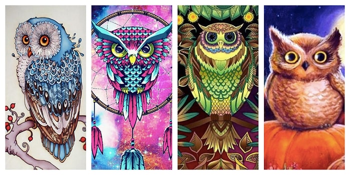 Тест: Выберите сову и узнайте многое о своей личности