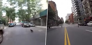 Bi' Dünya İnsanı Peşinden Koşturarak New York Caddelerini Alt Üst Eden Köpek