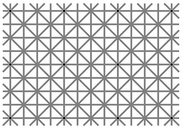 12. А теперь попытайтесь увидеть все 12 черных точек одновременно и не потерять голову.