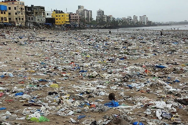 5. Но, кажется, люди начинают одумываться. Так, в Мумбае, Индия, волонтеры очистили знаменитый пляж Версова от мусора, и туда наконец смогли вернуться черепахи