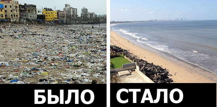5 миллионов кг пластика убрали с пляжа Мумбая, и туда наконец смогли вернуться черепахи