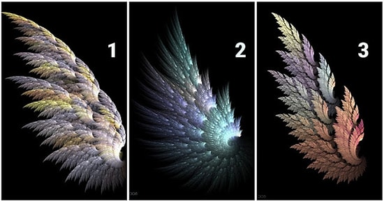 Тест: Что выбранное вами крыло может рассказать о некоторых чертах вашего характера?