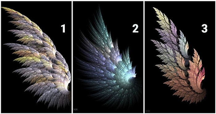 Тест: Что выбранное вами крыло может рассказать о некоторых чертах вашего характера?