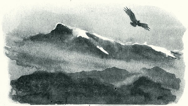 1. "Сижу за решеткой в темнице сырой. Вскормленный в неволе орел молодой. Мой грустный товарищ, махая крылом,"