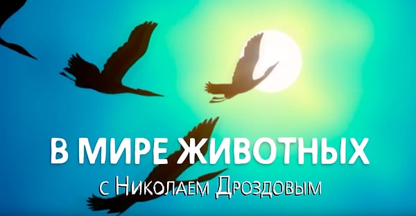 Показать правильный ответ