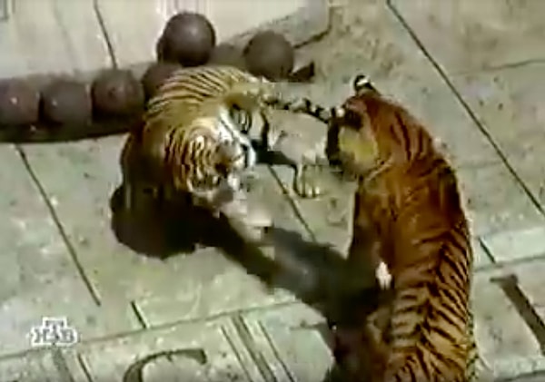 7. А это что за программа?