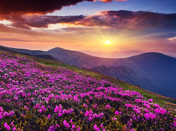 4. А что бросается в глаза здесь первым делом?