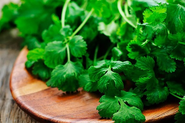 8. Вам нравится кориандр/кинза?