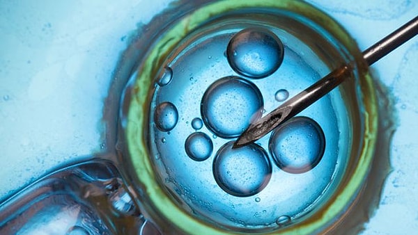 СМИ сообщает о богатой и известной в Великобритании паре, которая потеряла своего единственного сына в результате аварии (26-летний парень разбился на мотоцикле).