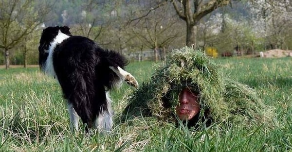 10. Зато маскировка хорошая