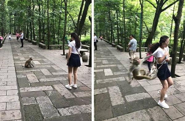 21. Так выглядит фраза "плохой день"