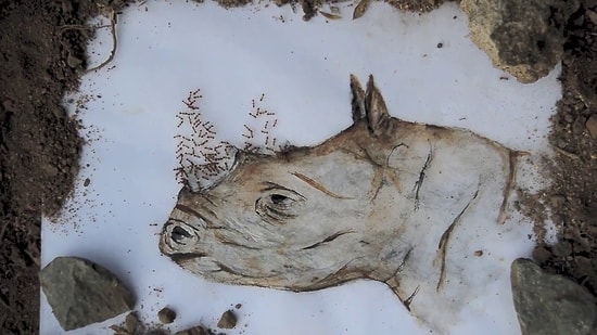 Resimlerinin Bir Kısmını Karıncalara Tamamlatan Sanatçı: Iantha Naicker