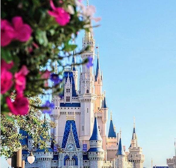 11. Disney World