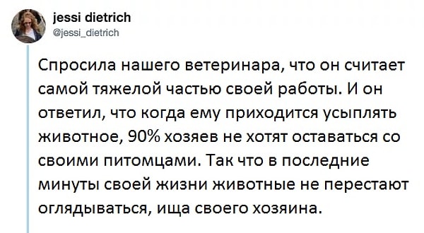 1. Пользователь Твиттера Джесси Дитрих поделилась записью, ставшей очень популярной. После ее прочтения вам точно понадобятся носовые платки.