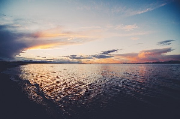 Вы очень сообразительный и умный человек!