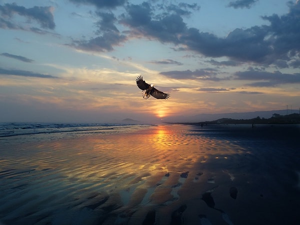 Вы сложная и многогранная личность!