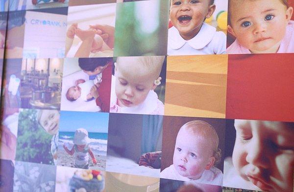 Sperm bankasının duvarları ise ortaya çıkan 'ünlü benzeri' bebeklerin fotoğrafları ile dolu.