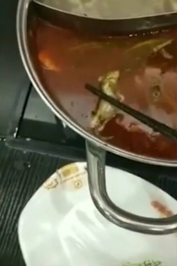 3. Беременная жена обнаружила у себя в супе мертвую крысу и, подозвав официанта, выразила беспокойство о здоровье ее будущего ребенка.