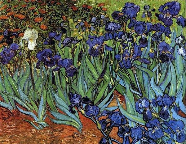 12. 'Irises' — Vincent van Gogh