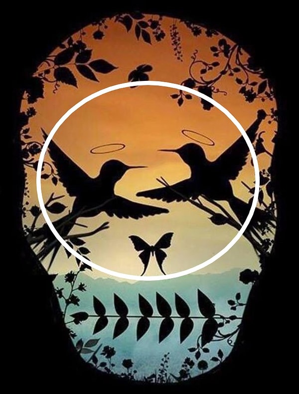 1. Вы увидели птиц: