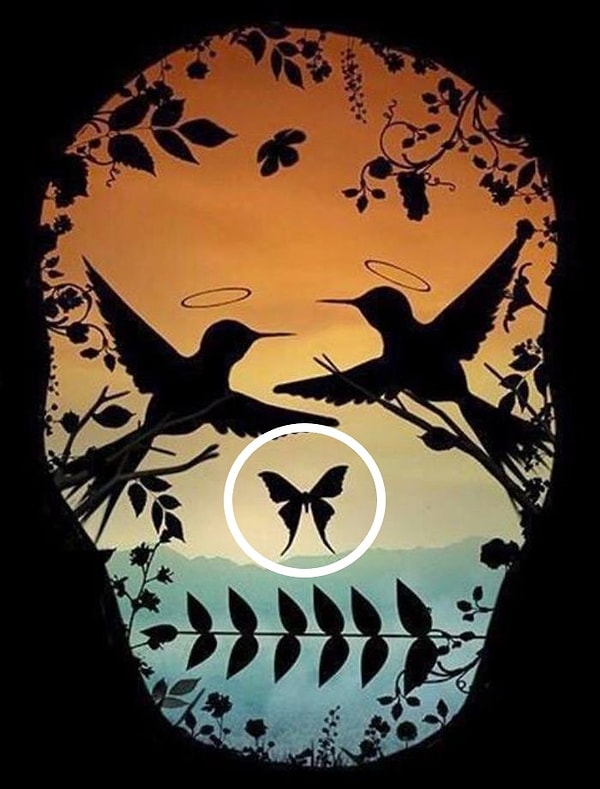 2. Вы увидели бабочку: