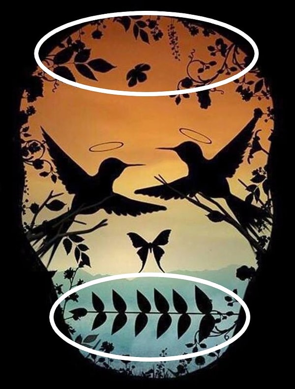 3. Вы увидели стебли травы: