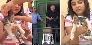Kışın Hane Sayısının Azalmasıyla Sahipsiz Kalan Kediler İçin Yardım Toplayan Köy Sakinleri