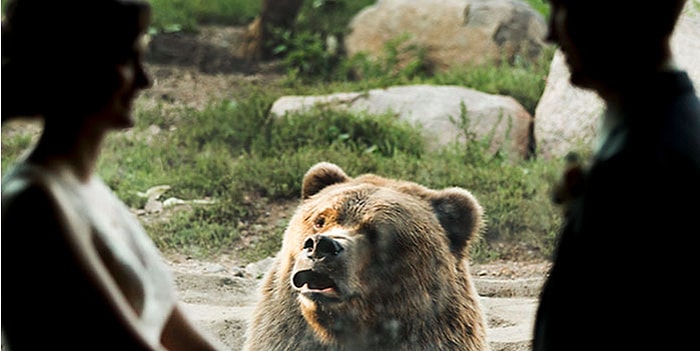 Весь Интернет в восторге от реакции русского медведя на фотосессию новобрачных
