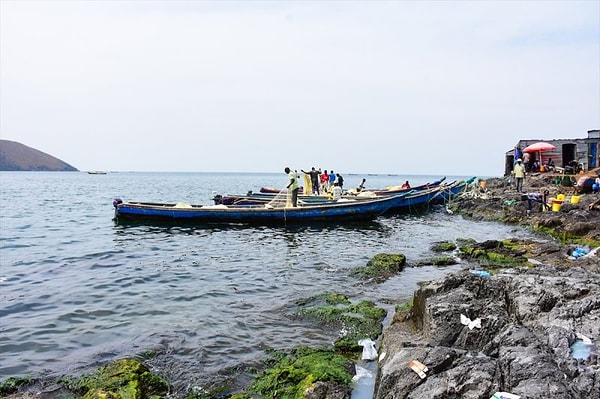 Уму непостижимо, правда? И как они все там умещаются?