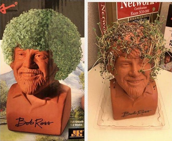 9. Как все-таки мужчины с возрастом подвержены облысению