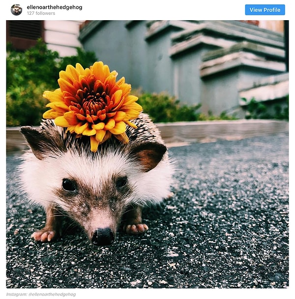 3. Знаток всех модных тенденций по части аксессуаров