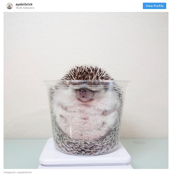 10. То неловкое чувство, когда ты слегка недооценил свои габариты 😳