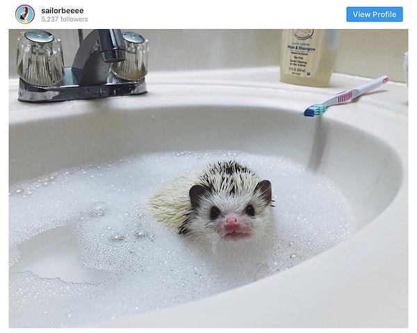 17. Ценитель расслабляющих банных процедур